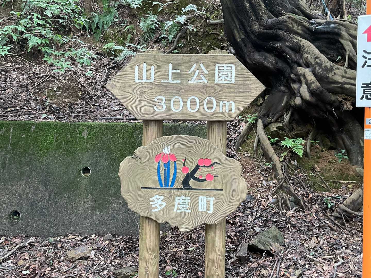 頂上まで後3000ｍ、これが有るので頑張れる