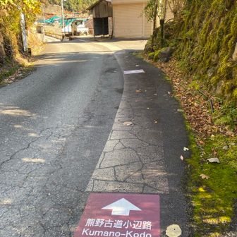 五百瀬の集落から三浦登山口まで、わかりにくいところは路面表示。小辺路は、案内板がしっかりしてして、見落とすことも殆どない。
ここから、三浦峠、また、急登。