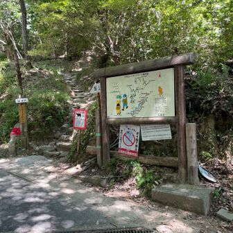 え、🐻出るの⁉️
熊鈴持って来てない…けど、登山客は多そうなので大丈夫かな？
