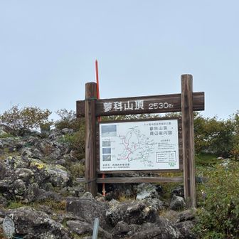 ここが山頂標識かと思いきやちがった