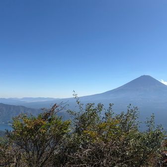 裾野まで見えます。左は西湖と…奥は河口湖かな？