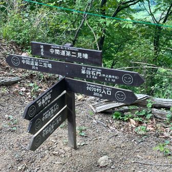 中間道のニコニコマーク☺️の安心感よ🤣🤣🤣
😖とか😵みたいなの不安感すごいもん🤣

とにかく妙義山ってそこかしこに、ここ危ない、上級者向け、滑落注意とか注意喚起がすごい多い😳
それだけ一般登山者とか観光客が考えなしに行っちゃうのかなぁ😅
