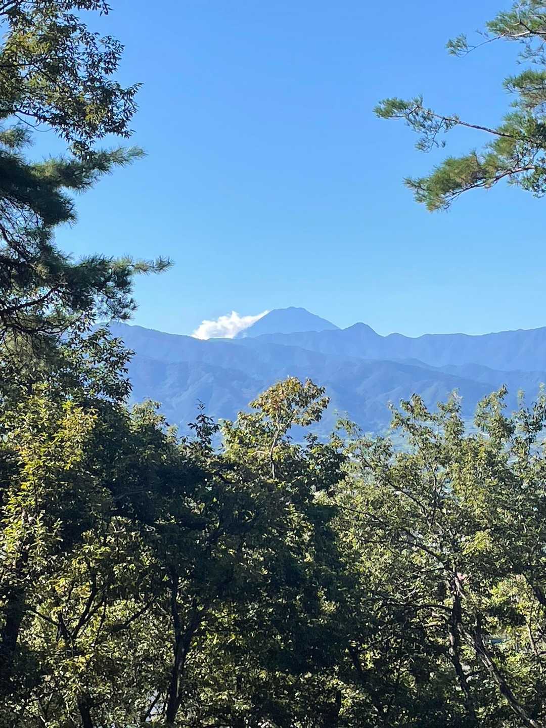 富士山見えました