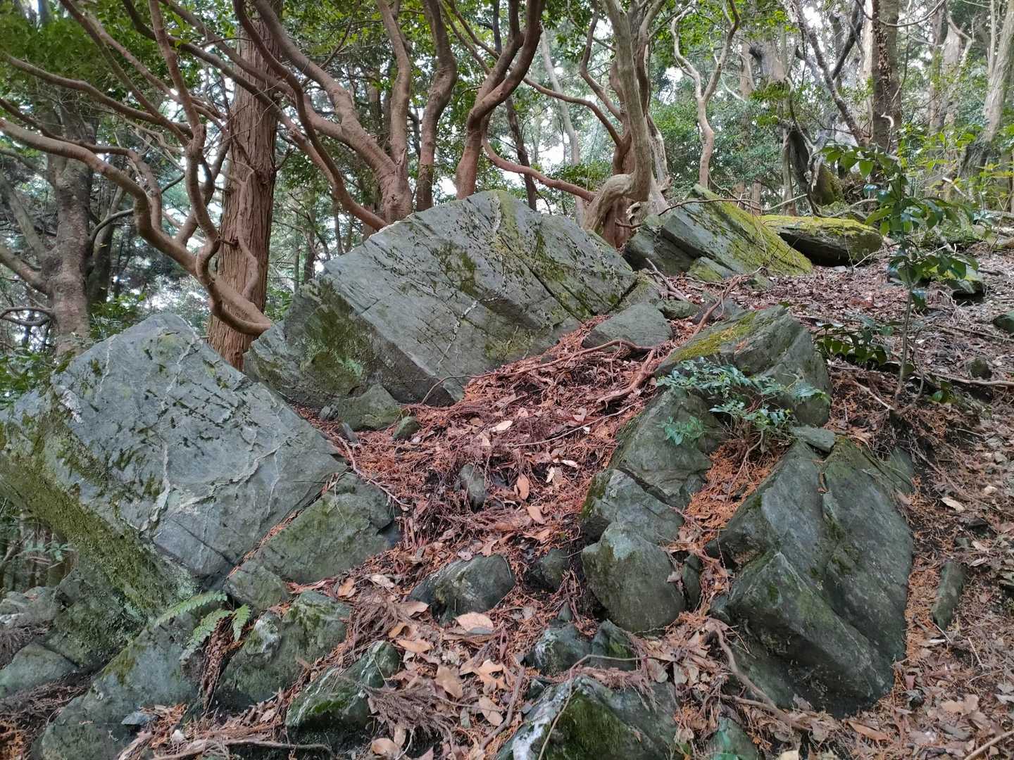 特徴的な岩群😆