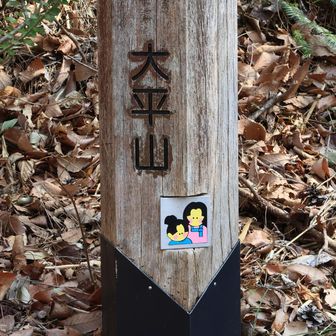 大平山。
標識兼用の山名板？