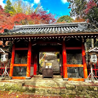 徳川五代将軍綱吉の生母、桂昌院さんが関わったお寺のようで、葵の御紋が見える。