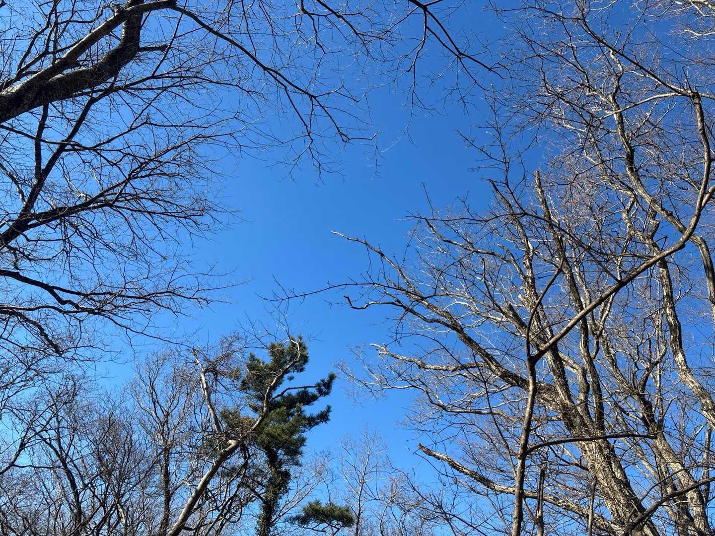 綺麗な青空🤩