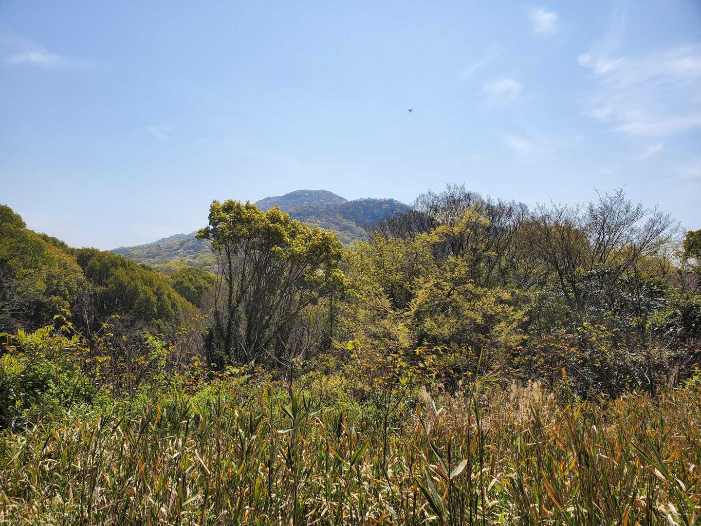 振り向いての紫雲出山
