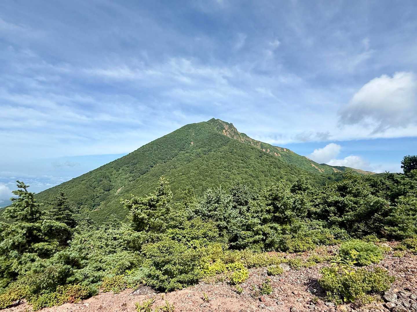 あそこが山頂！
ふぁいとー(*•̀ㅂ•́)و✧