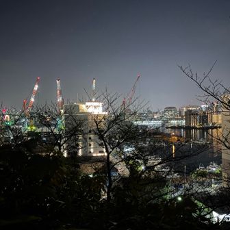博多湾の夜景🌃