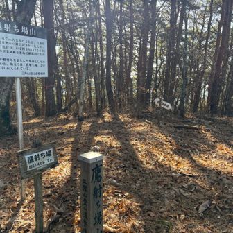 途中走れず目の前ピカピカしたりゲロりそうになりながらようやく鷹射ち場