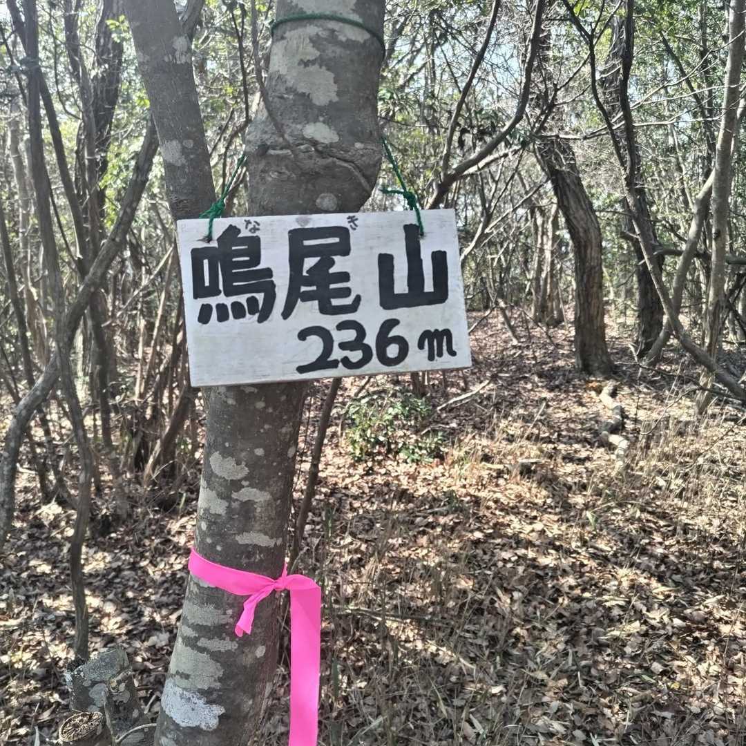 到着、展望はありません^^;
