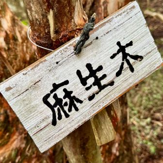 なんの看板かはわからない