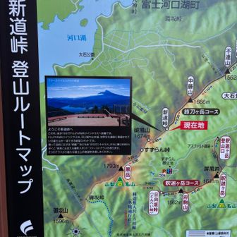 新道峠から黒岳、午前スタートなら釈迦ヶ岳まで行けるはず