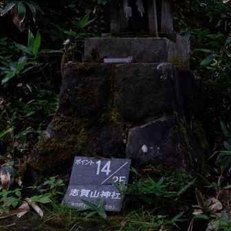 裏志賀山は山頂標識見当たらず…
山頂と思しき場所を少し進むと小さなお社

その先には大沼池を見下ろす絶景ポイント