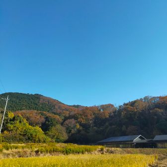 良い天気です。