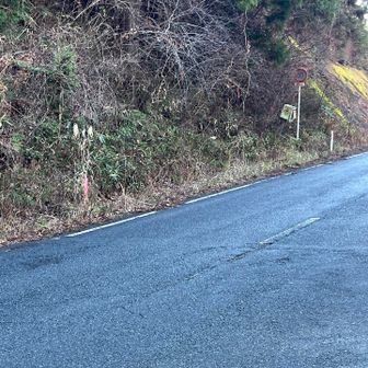 小斎峠から鹿狼山までの登山道はちゃんとしています。人は歩いてませんが…