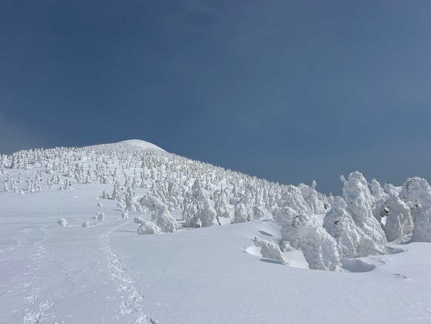 八甲田大岳登山口-小岳 往復コースの写真