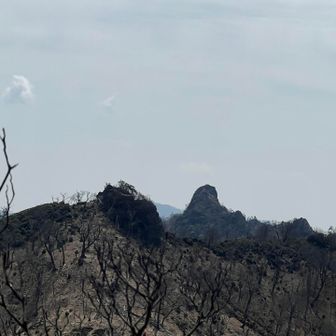 鹿納山。未踏なんです。