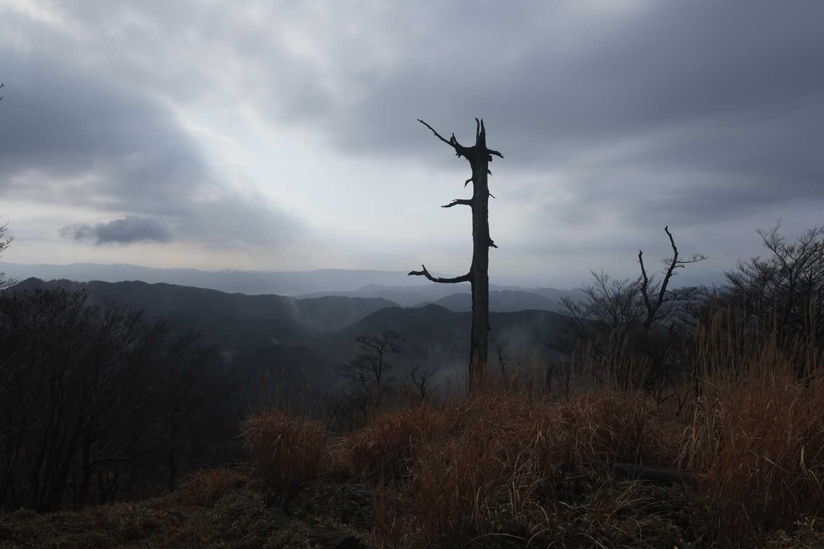 中岳（英彦山） / 4031Bluesさんの福智山・尺岳・雲取山の活動データ | YAMAP / ヤマップ