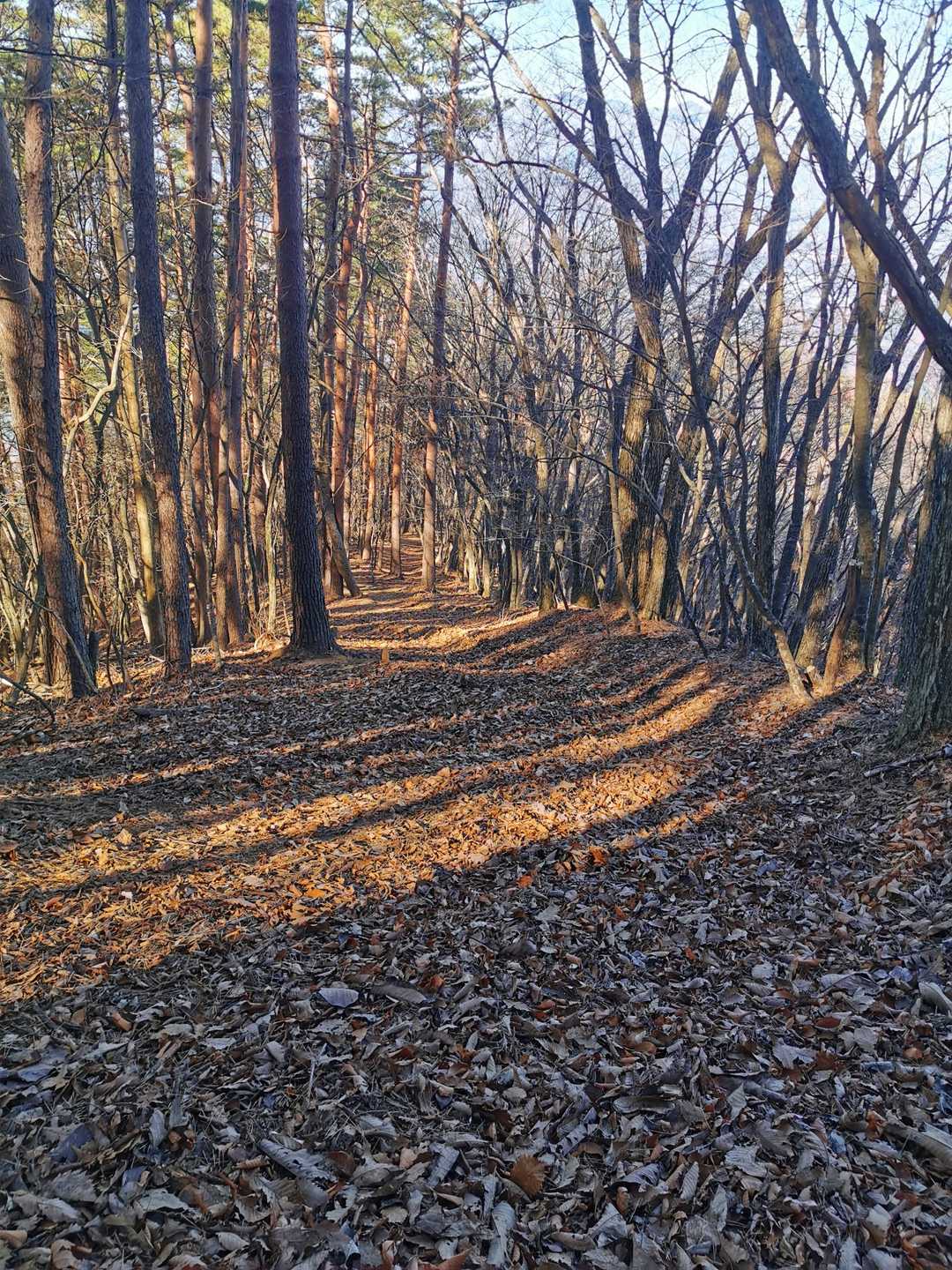 下山します。