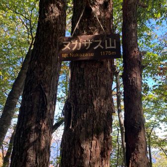 ヌカザス山山頂　１１７５m
ここまでかなり急登です。
