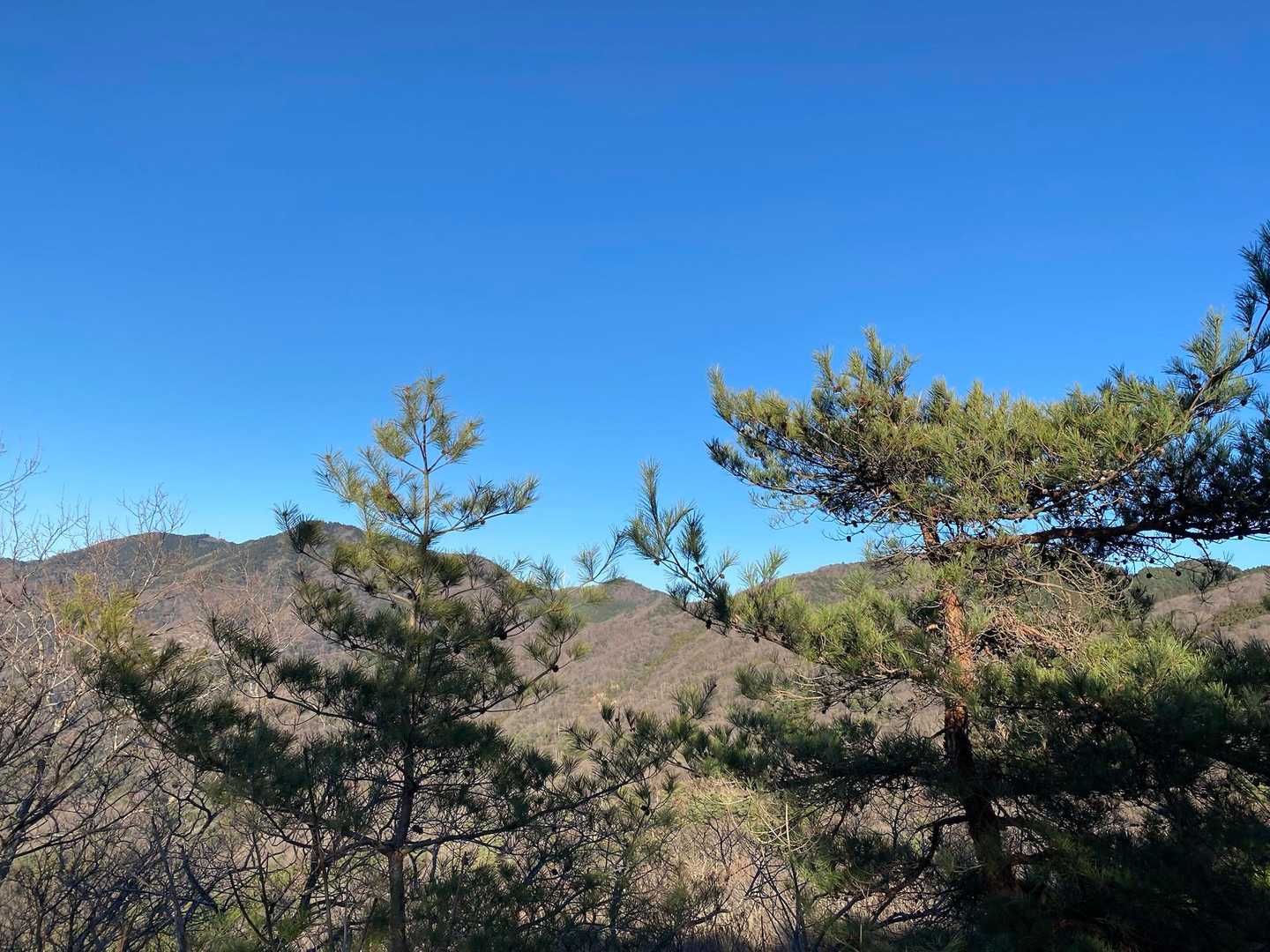 筑波連山🧐
