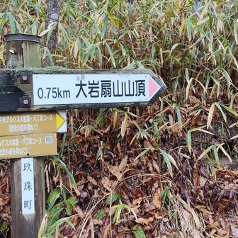 出発点まで、戻って来ました。
大岩扇山⛰️に向かいます。