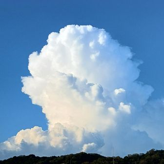 我が輩は昔 豚であったw