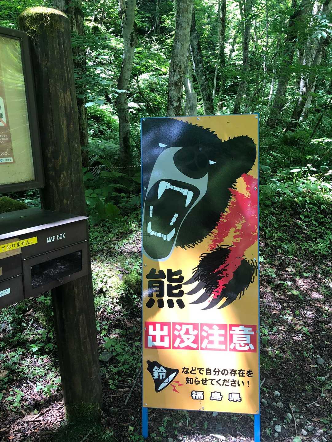 🐻出没注意⚠️
まさか帰りのバスから小熊に遭遇するとは。。