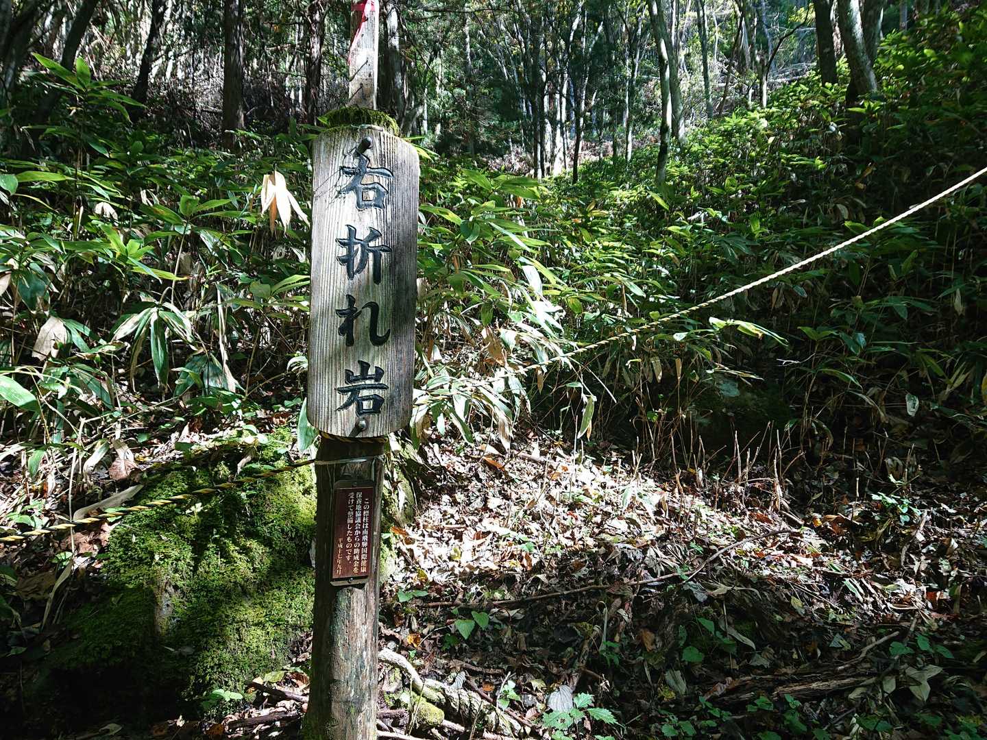 ここから尾根に向かって登ります。