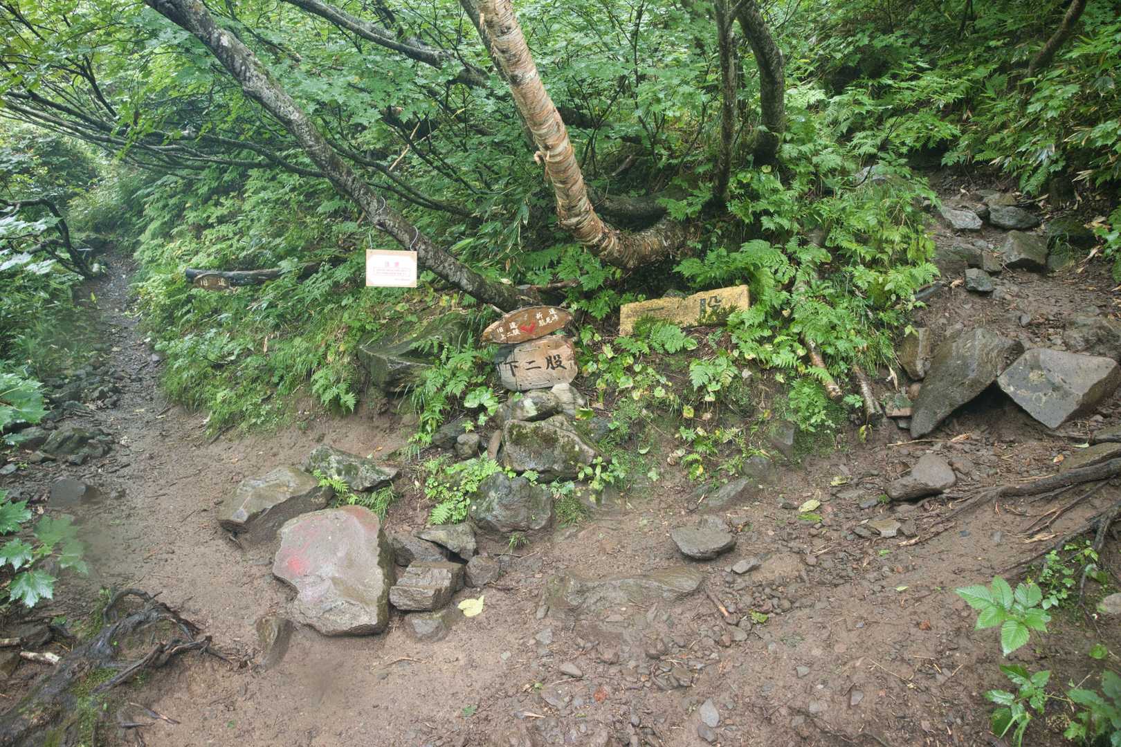下二股に到着！
ここからは旧道ルートへ↖️