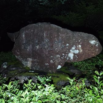 見えにくいけど古湯城跡と書いてました。
