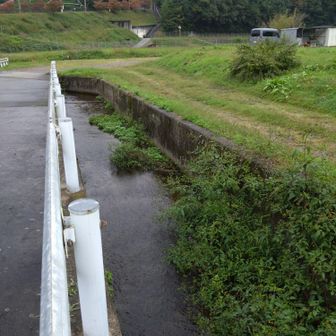 工業団地からくる水
