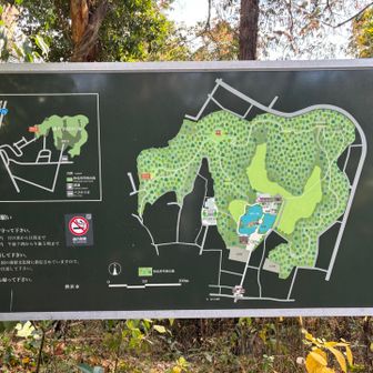 称名寺はよく行くけど裏山は来る機会が無かった