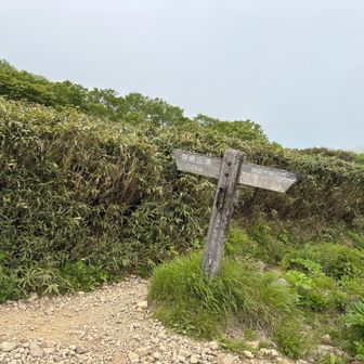 分岐を弘法清水小屋方面へ