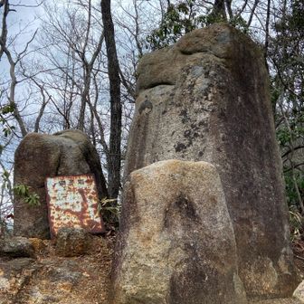 獅子岩　見えなくも無い？