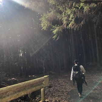 太陽が出てきた☀️ジュッピーさんならもう一回山頂行くやつ😆