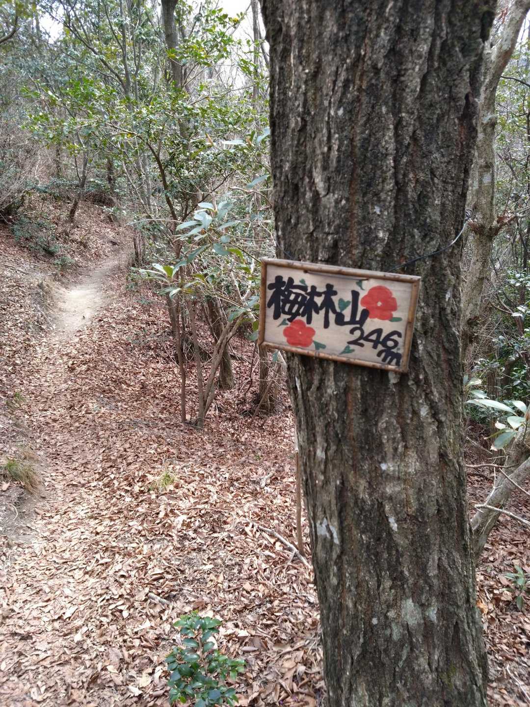 素敵な標識。YAMAPピークではありません。