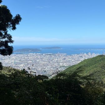 よく見えた