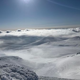 四方見渡せば大雲海🤤
