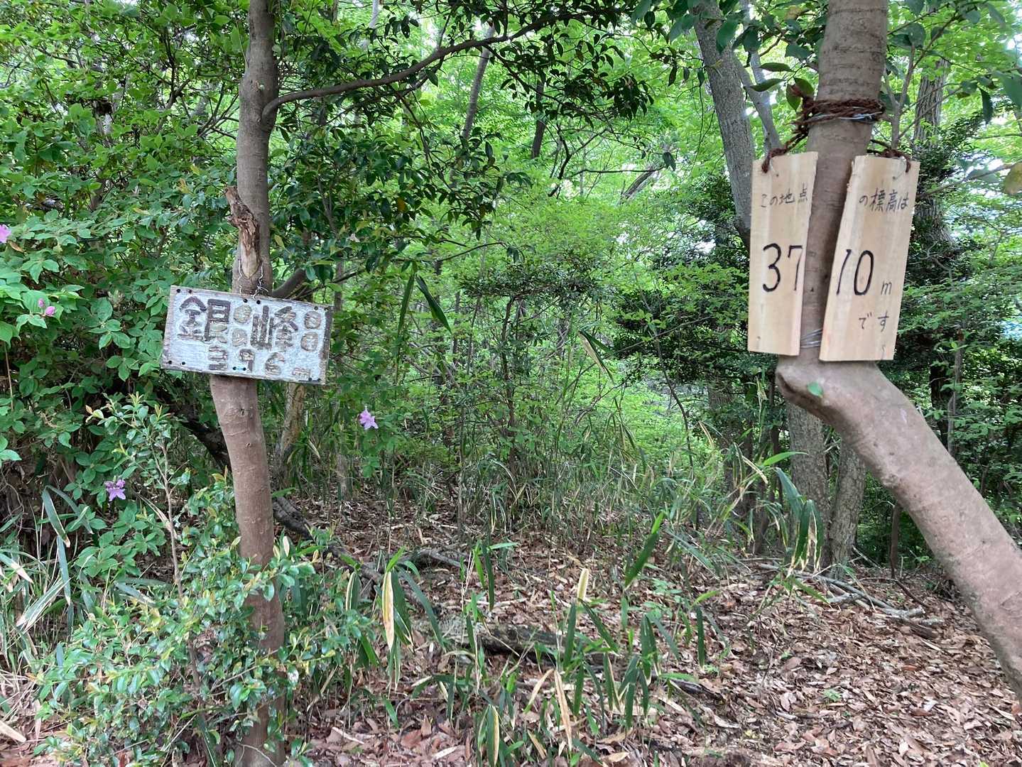 銀峰に到着❣️
って眺望もなく、ただの看板だけ💧

無になりたいほど、日々ストレスを抱えてるわけでも無いけど😅