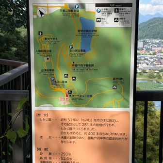 若者や家族連れも多く天童市民の憩いの場ですね👍