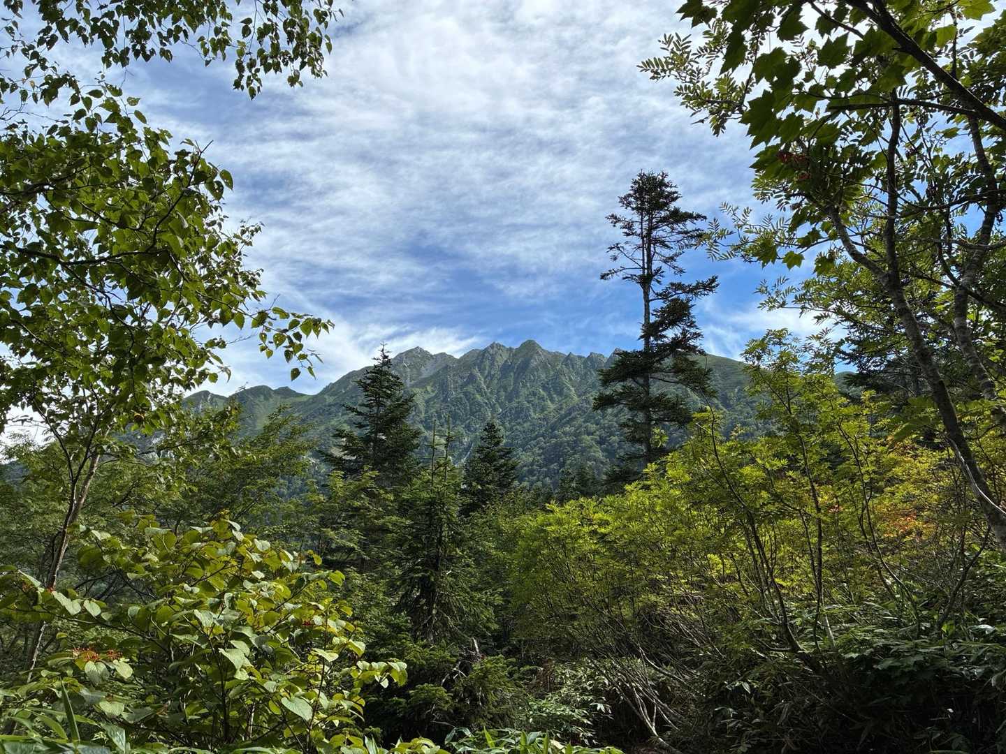 うわぁ✨

山荘に泊まった方や、槍に行かれて返ってこられた方など、すれ違う方々とお話しさせていただきました！