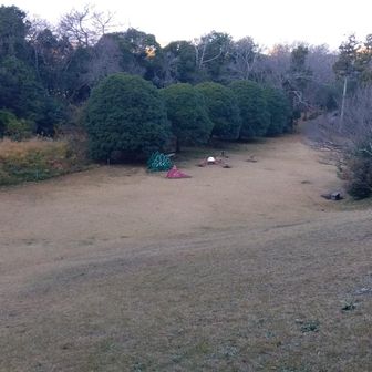 いたるところに広場があって、良いところです👍