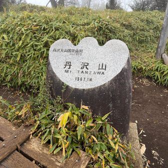 登頂しましたが霧と強風で休憩できる余地はありません…