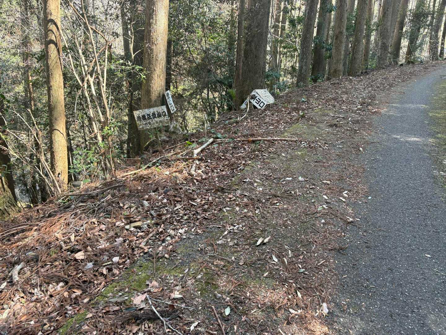 ラスト一座に地蔵岳。渋い締めになります。