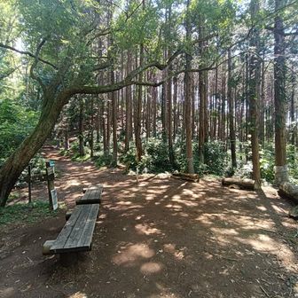 ぐみの木峠