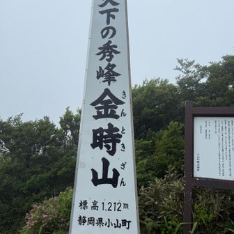 小山町の看板の方が大きい！笑