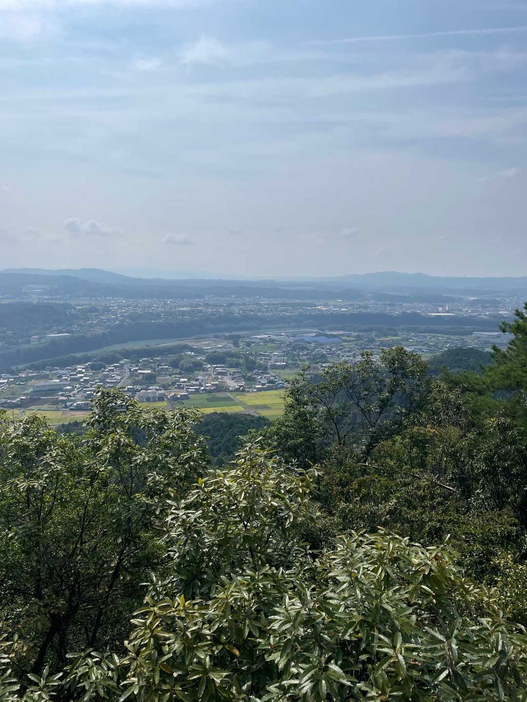 風邪が吹いて気持ちいい